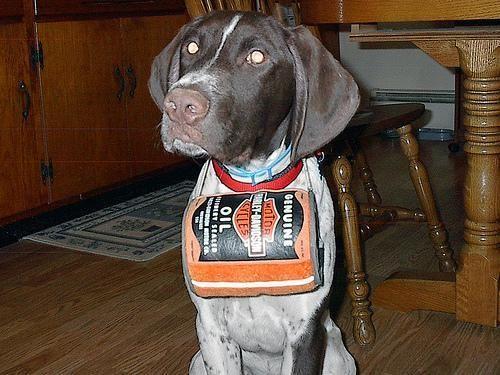 Pointer
