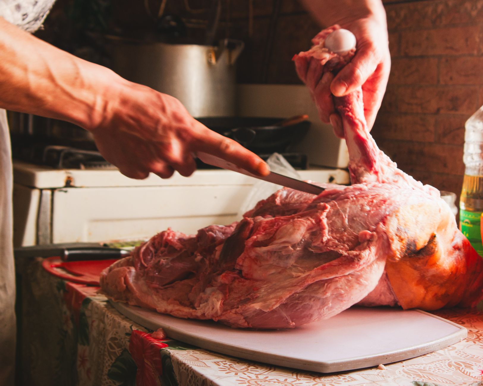 Frisches Fleisch und Gemüse für die BARF-Ernährung eines Hundes
