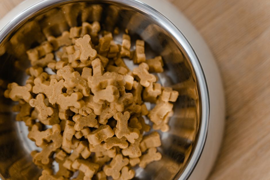 Hundehalter geht mit seinem Hund eine feste Gassirunde