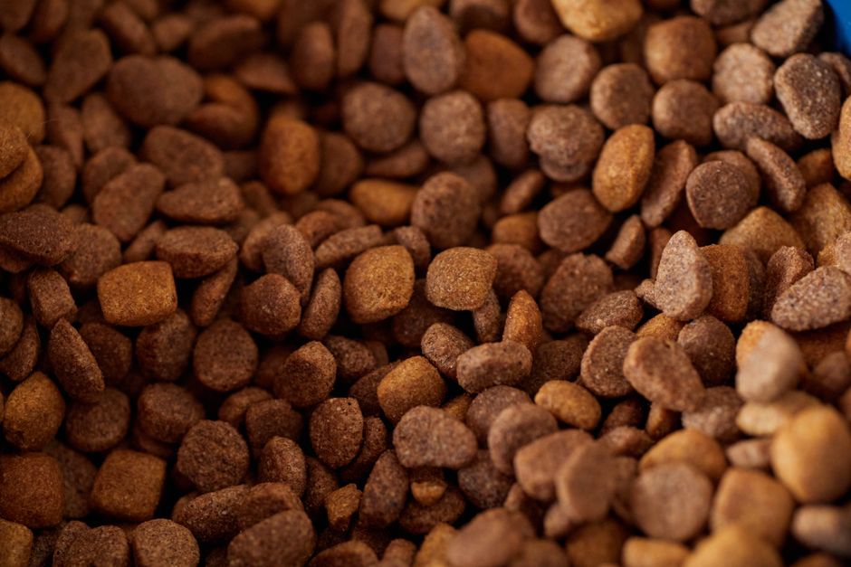 Verschiedene Fleischsorten für Hunde — Abwechslung beim BARFen